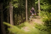 Bikenews
