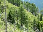 La MTB crea dipendenza